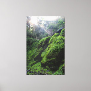 Toile Moss Couvert Roches Imprimer