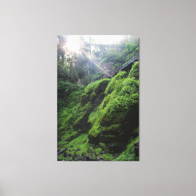 Toile Moss Couvert Roches Imprimer (Recto)