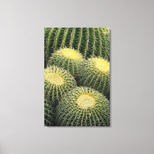 Toile Motif de cactus