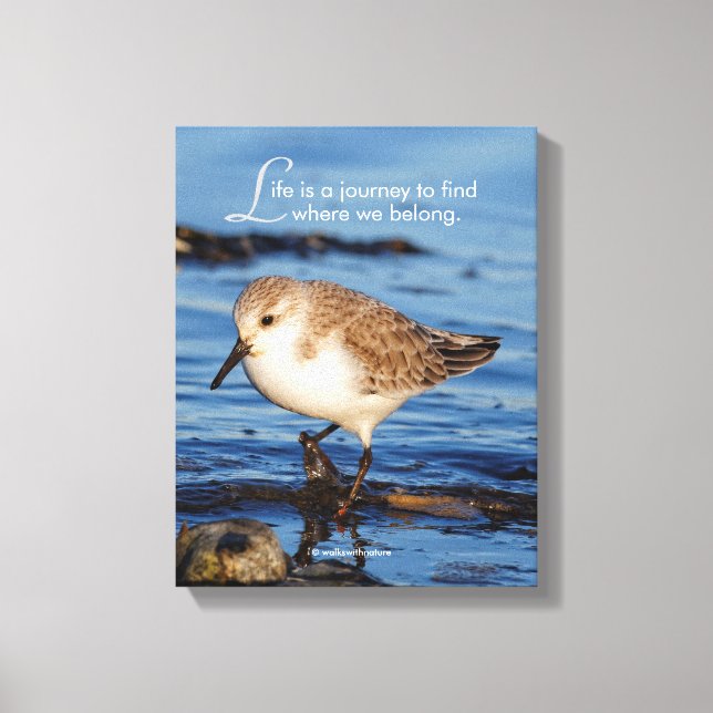 Toile Motivation "La vie est un voyage" Sanderling (Recto)