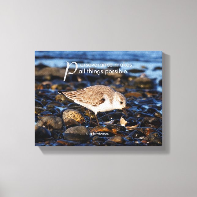 Toile Motivationnel "La persévérance fait..." Sanderling (Recto)