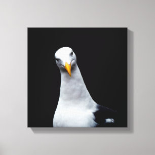 Toile Mouette