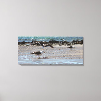 Toile Mouettes en bord de mer