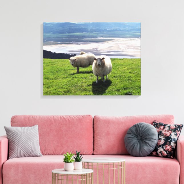 TOILE MOUFLON (Insitu(Salon))