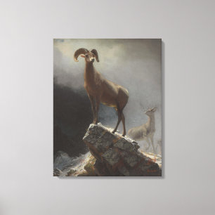 Toile Moutons de montagne ou Grosse Corne, Ovis, Montana