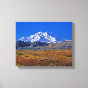Toile Mt. Parc national McKinley Denali, Alaska.