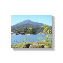 Mt Tamalpais Greenbrae Californie