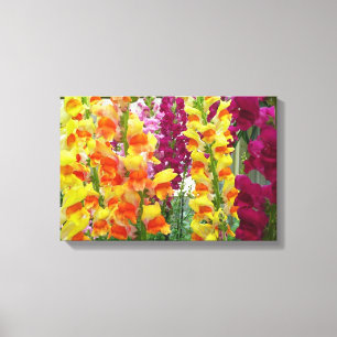 Toile Mufliers Floral Coloré