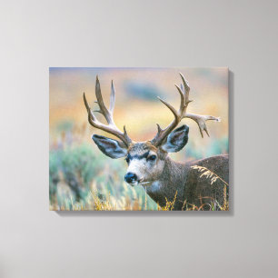 Toile Mule Deer Buck   Parc national du Grand Teton Wyom