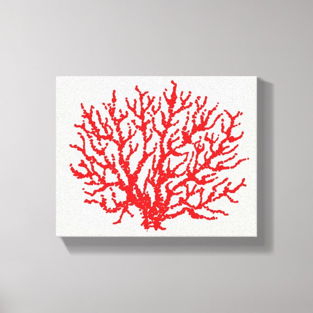 Toile Mur de corail de la mer Rouge (Recto)