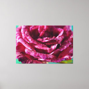 Toile Mur de luxe Art Rose Pétales Floral Nature