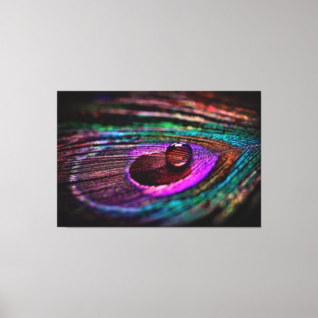Toile Mur de luxe Macro Photographie Peacock Feather (Recto)