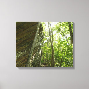 Toile Mur de roche de Frazier dans le parc national de S