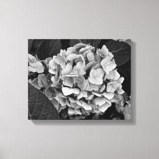 Toile Mur noir et blanc Hydrangea
