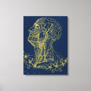 Toile murale anatomie de la tête et du cou