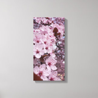 Toile murale Fleur de cerisier rose - Arbre Sakura