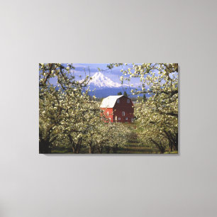 Toile N.A., États-Unis, Oregon, comté de Hood River. Rou