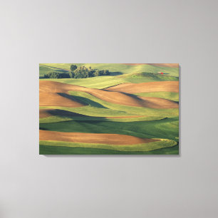 Toile N.A., Etats-Unis, Washington, le comté de Whitman