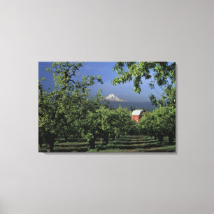 Toile Na, Etats-Unis, Orégon, près de capot de la