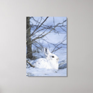 Toile NA, USA, Alaska. La faune nationale de l'Arctique