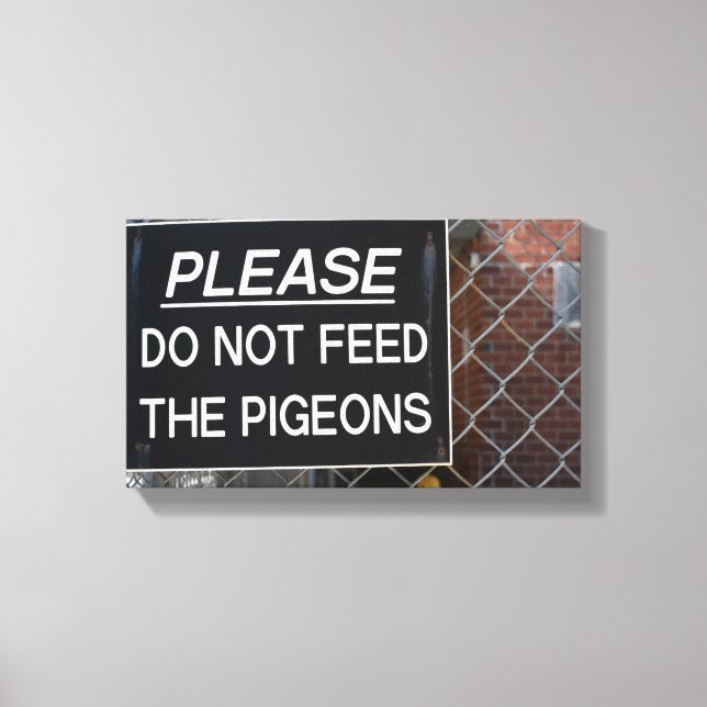 Toile N'alimentez pas les pigeons de New York Photograph (Recto)
