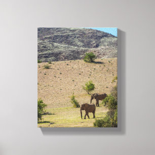 Toile Namibie Afrique Huab River Elephant Damaraland