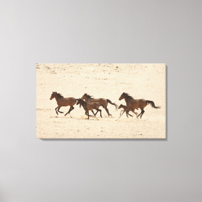 Toile Namibie, Aus. Groupe de chevaux sauvages en train  (Recto)