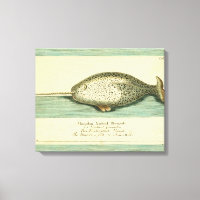 Narwhal Antique Baleine Aquarelle Art scientifique