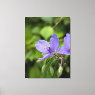 Toile Nature Photography Canvas Print