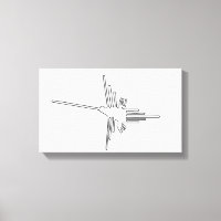 Nazca Pérou oiseau ancien géoglyphe symbole mystèr