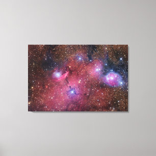 Toile Nébuleuse de NGC 6559 dans le Sagittaire