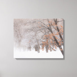 Toile Neige   Lac Kussharo