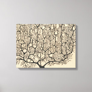 Toile Neuron Drawing By Santiago Ramón Y Cajal