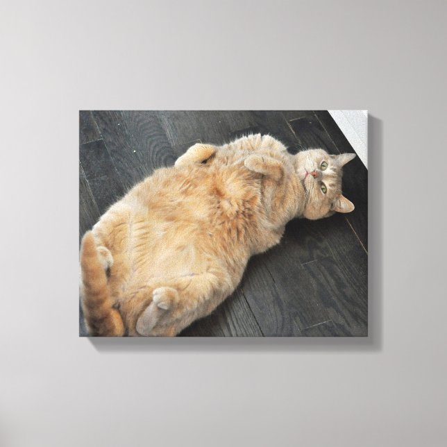 Toile New Kitty, chat sur son dos, Tabby (Recto)