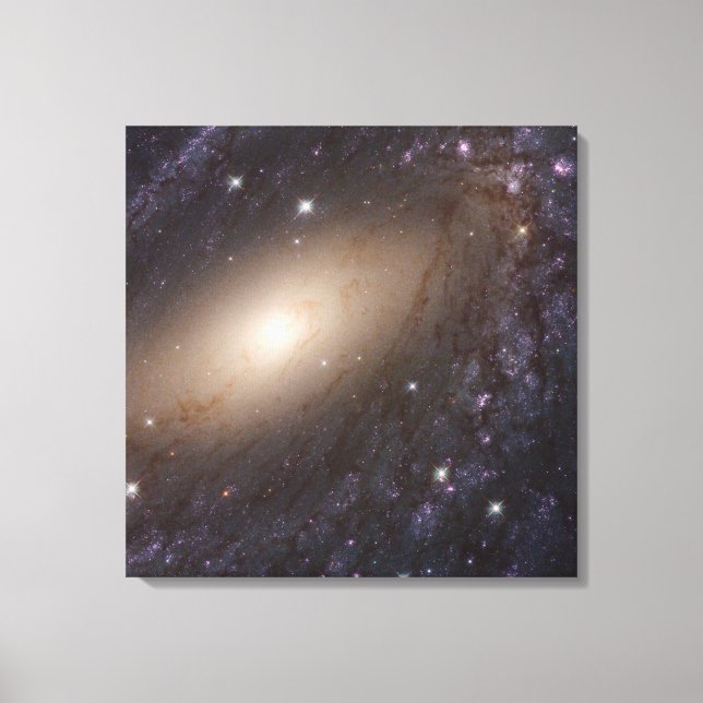Toile Ngc 6744, 30 Millions D'Années-Lumières. (Recto)