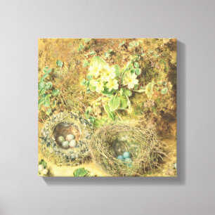Toile Nids de primevères et d'oiseaux