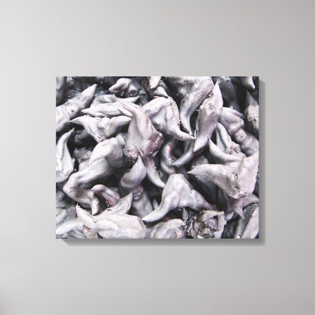 Toile Noix de buffle - Water Caltrop (Recto)
