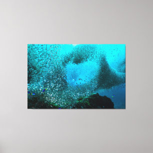 Toile Nuage de poissons de récif