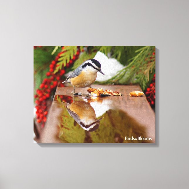 Toile Nuthatch à poitrine rouge (Recto)