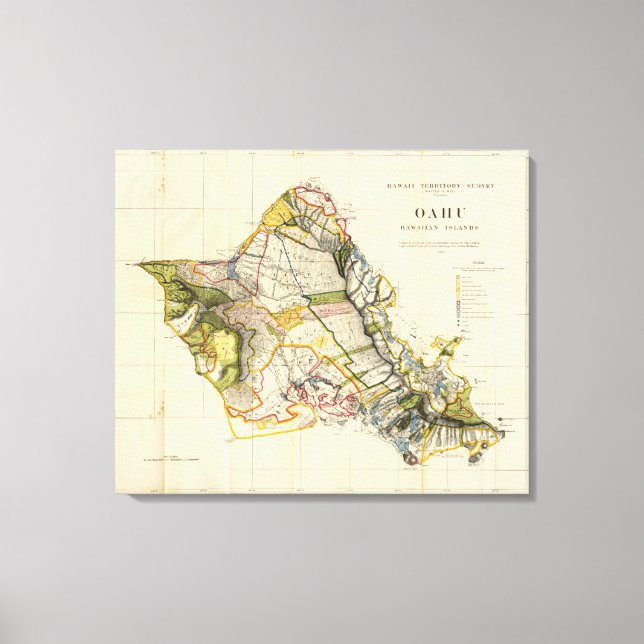 Toile Oahu, Hawaii (Recto)