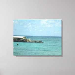 TOILE OAHU HAWAII #15 CANVAS