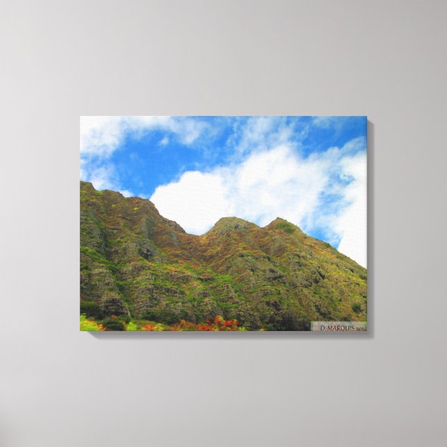 TOILE OAHU HAWAII #20 CANVAS (Recto)
