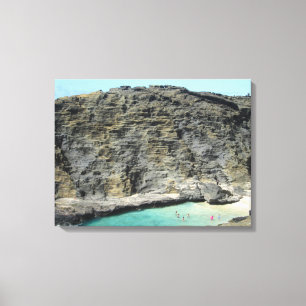TOILE OAHU HAWAII #25 CANVAS