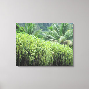 TOILE OAHU HAWAII #2 CANVAS
