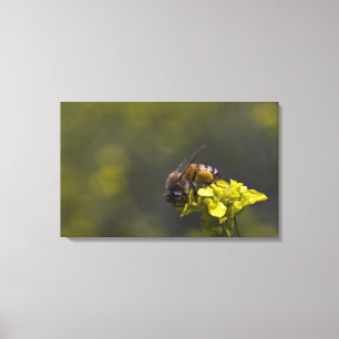 Toile Occupé comme une abeille