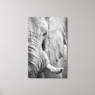 Toile Oeil éléphant