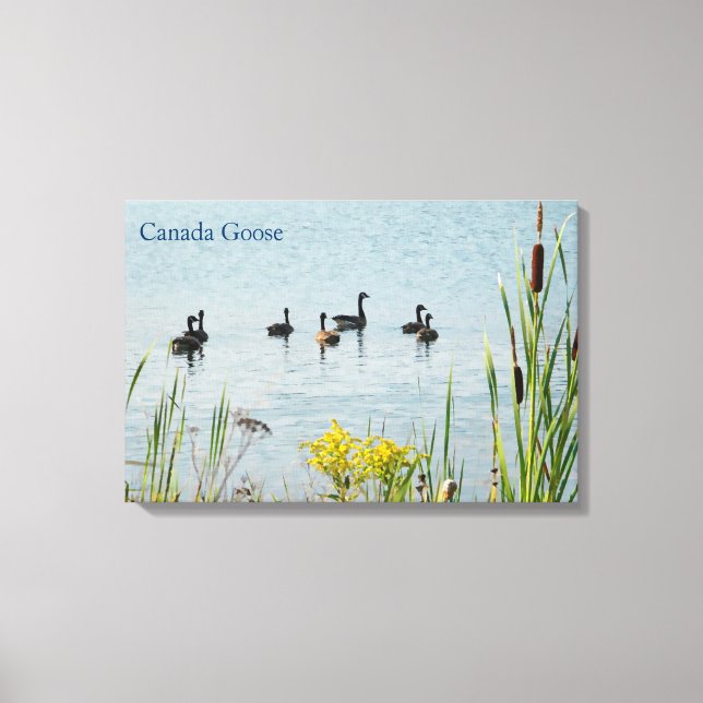 Toile Oies Et Cattons Du Canada (Recto)
