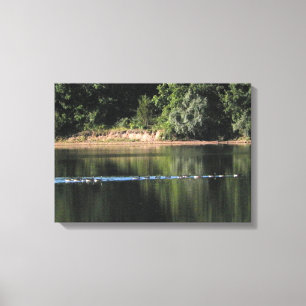Toile Oies sur le lac Photo