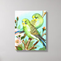 Oiseau à deux boucles