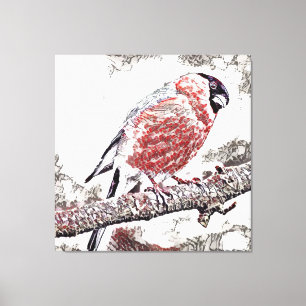 Toile Oiseau, Bullfinch, Homme